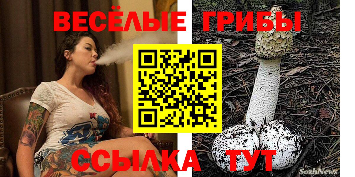 Санкт-Петербург  Галлюциногенные грибы мухоморы  Псилоцибиновые грибы Psilocybe  Вход с VPN 